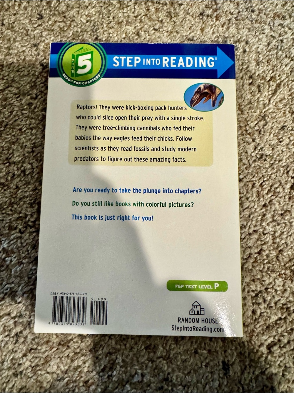 Step into reading “Raptor Pack” step 5 - Picture 2 of 3